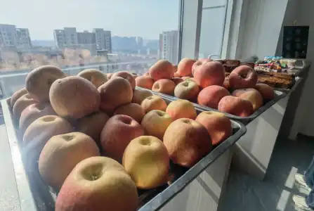 学生餐