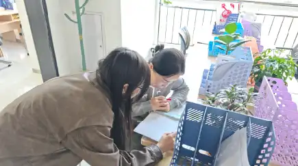 图片展示